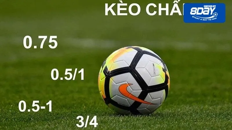 Các loại kèo chấp hay được chọn để đặt cược