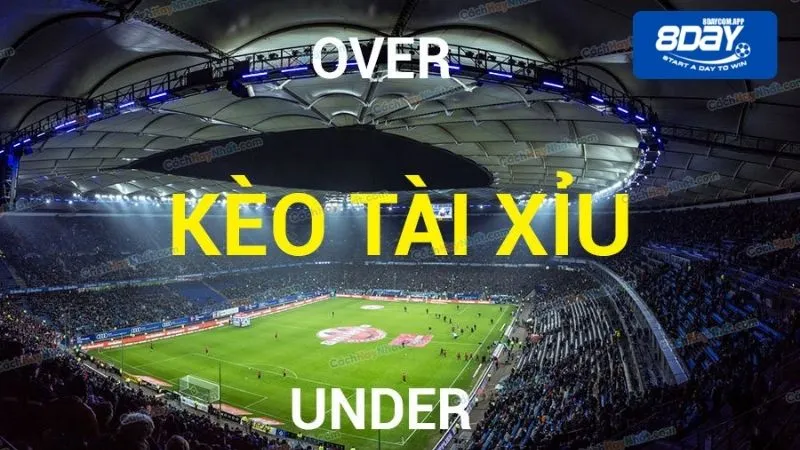 Đọc kèo tài xỉu chính xác cho tân binh