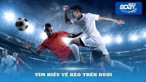 Tìm hiểu cơ bản về kèo trên dưới phổ biến hiện nay