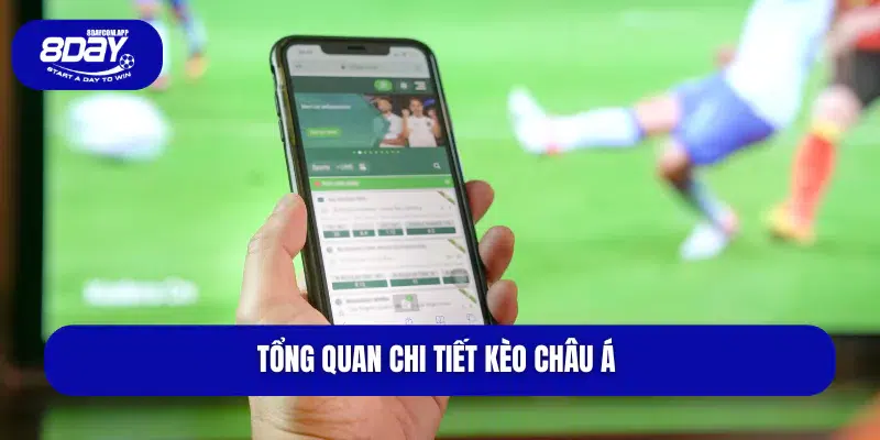 tổng quan chi tiết kèo châu á