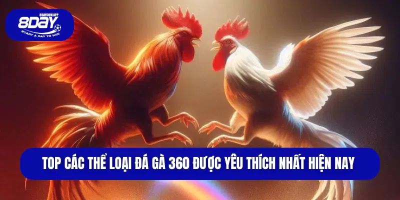 Top các thể loại đá gà 360 được yêu thích nhất hiện nay