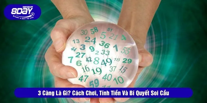 3 Càng Là Gì? Cách Chơi, Tính Tiền Và Bí Quyết Soi Cầu 1 3 càng là gì